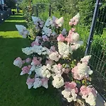 Дом отдыха Velodomki - Nad Jeziorem Zywieckim