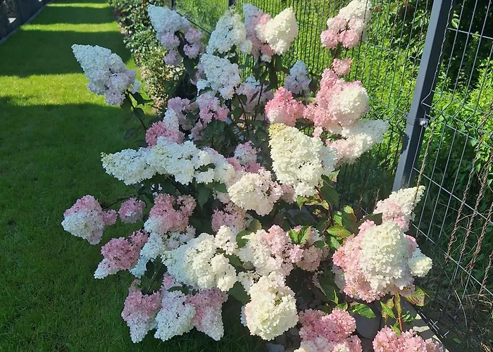 Holiday home Velodomki - Nad Jeziorem Zywieckim